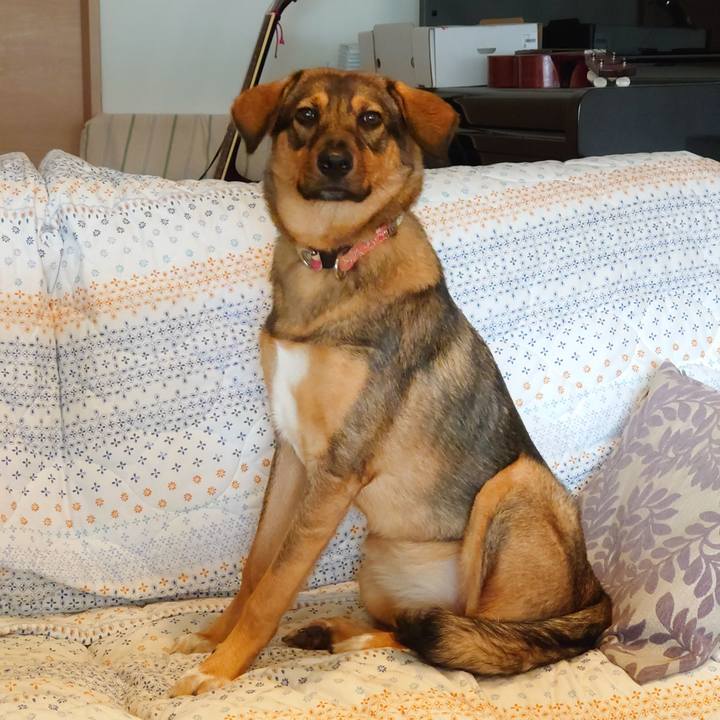 7f6679c7 c051 4039 8c18 25ba6f9f5225 1690866493254