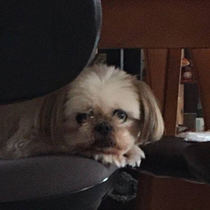 7f66ab0d e654 4853 896b 2f7c87dd4fcc 1633421670900