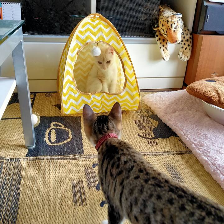 7f66b228 d428 47e2 9b2c dfb2bb69fa82 1628078032587