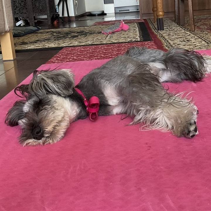 7f66f648 da09 4445 a825 6325bd7c2702 1710043522221