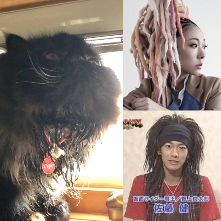 7f671144 78d8 4cf1 99a7 cd70e22c3ff3 1559822415069