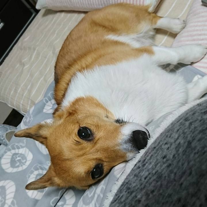 7f67144b 48ac 487c a29d 272c7903ef7a 1514364407157