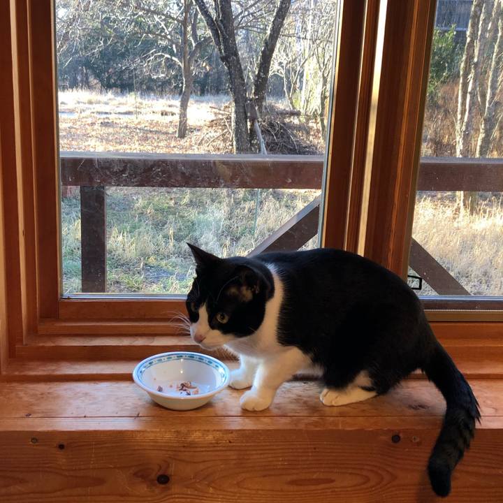 7f672802 4363 4efc 887c 87dec7811eb3 1546668356804