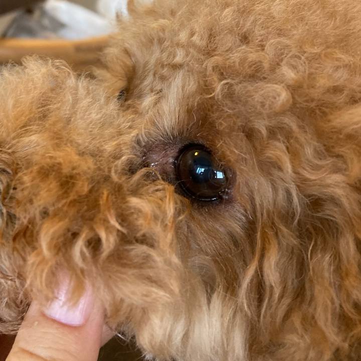 7f672ac2 0189 419f 8c12 e1bd93938f2a 1629101895703