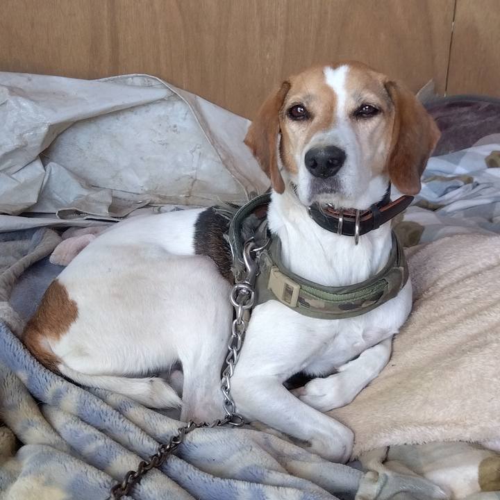 7f6761dc f5c1 4f05 8fb8 44e75d434acb 1696672937906