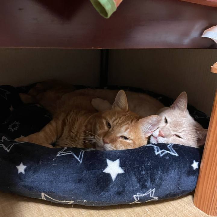 7f677994 c138 4f37 bae1 f6d45e737844 1666874500317