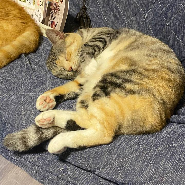 7f6799e2 e6b5 410a 9aae 7a1b6153f525 1621248986524