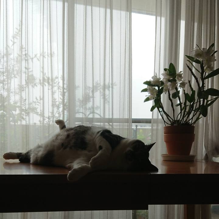 7f67ab01 d82e 4e4e 9ef4 548da475660d 1532135167574