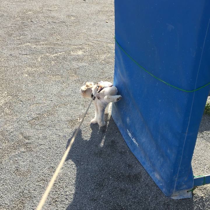 7f67adb3 5212 4b24 89ee 8b76739b73c9 1534289215900