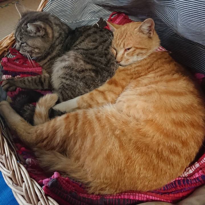 7f67c536 471b 4cc1 b879 5a94245e262d 1558247808187