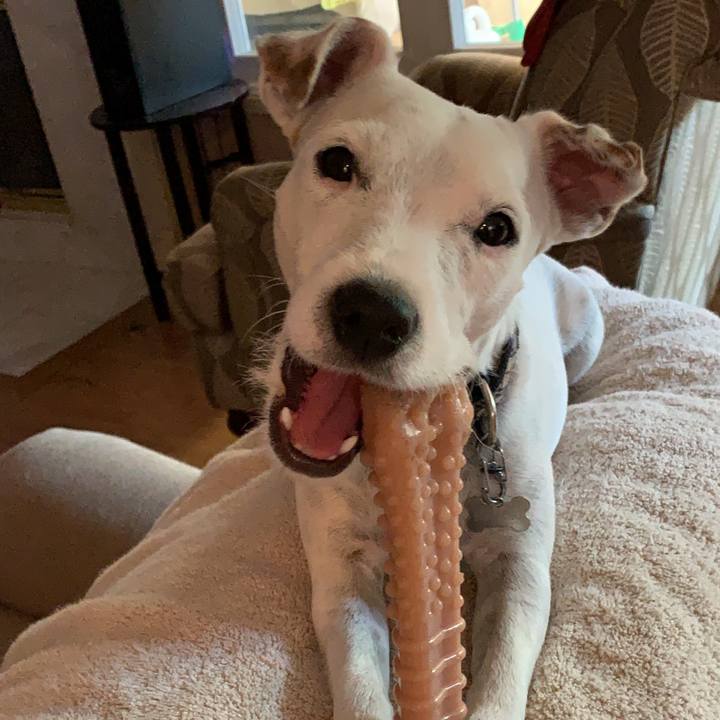 7f67d314 0e8a 4590 9330 e79b52307cef 1567954658842