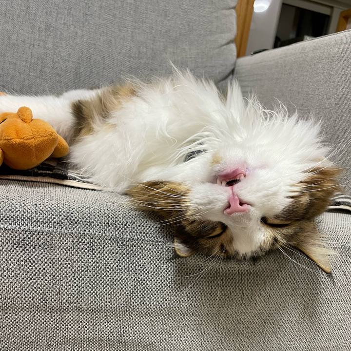 7f67d56e e4fc 468c 89f9 2853a35a2cd7 1664618430269