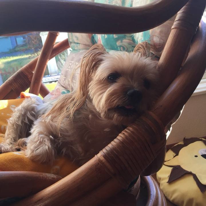 7f67f541 71b1 4293 8149 e955b1feb78a 1541234245609