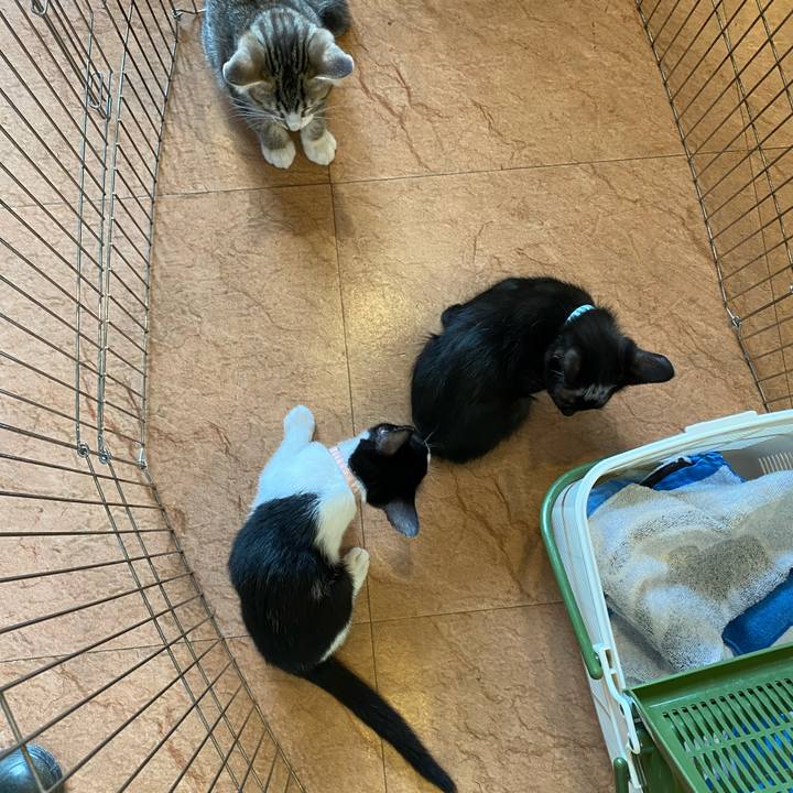 7f681328 8840 4a7b a9cc 97048ffc05f8 1626342490015