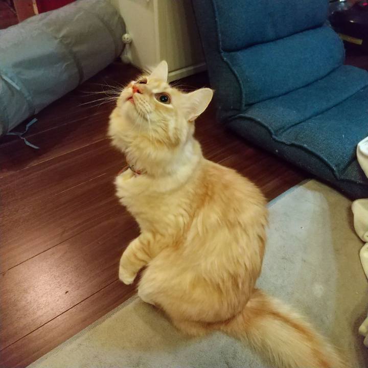 7f681f0a ad18 442b 9acb bde75c40494f 1641307088549