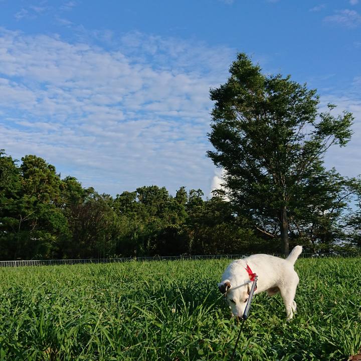 7f682872 f839 4e25 94fd c79e884b192b 1596411298460