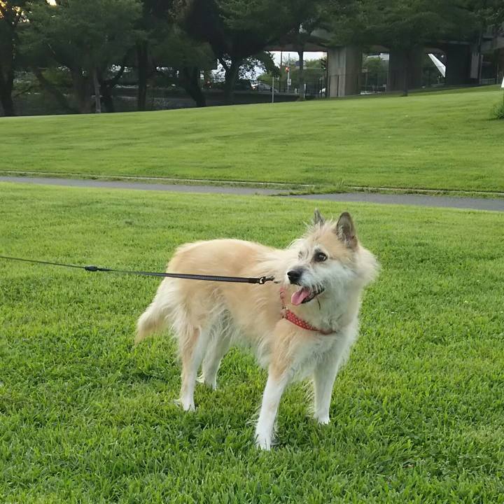 7f689699 8b84 4ff6 be97 b23c54c64075 1534670489154