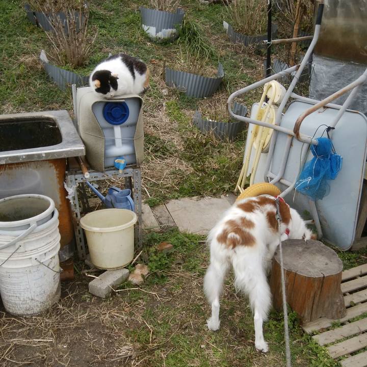 7f68a06c 57a6 4633 8778 1d003959942d 1545380341795