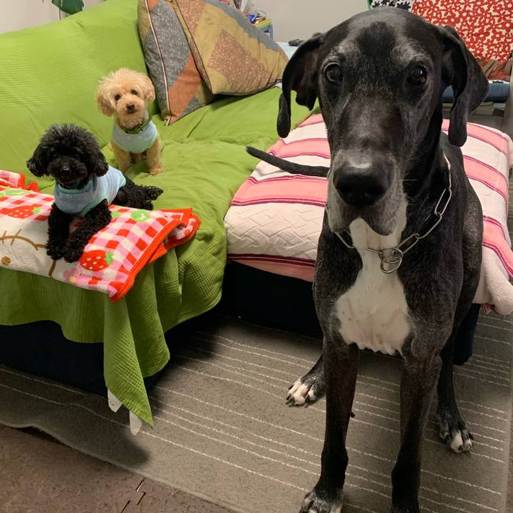 7f68d9de cca0 4313 828a 9e43bd19c16a 1593038169568