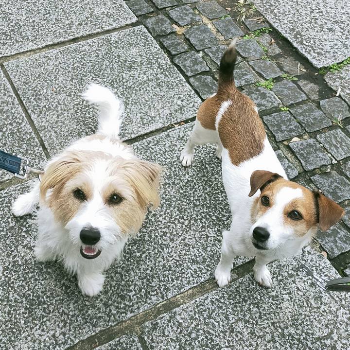 7f68f6bb 7704 4324 9597 a6190a04810c 1761990140459