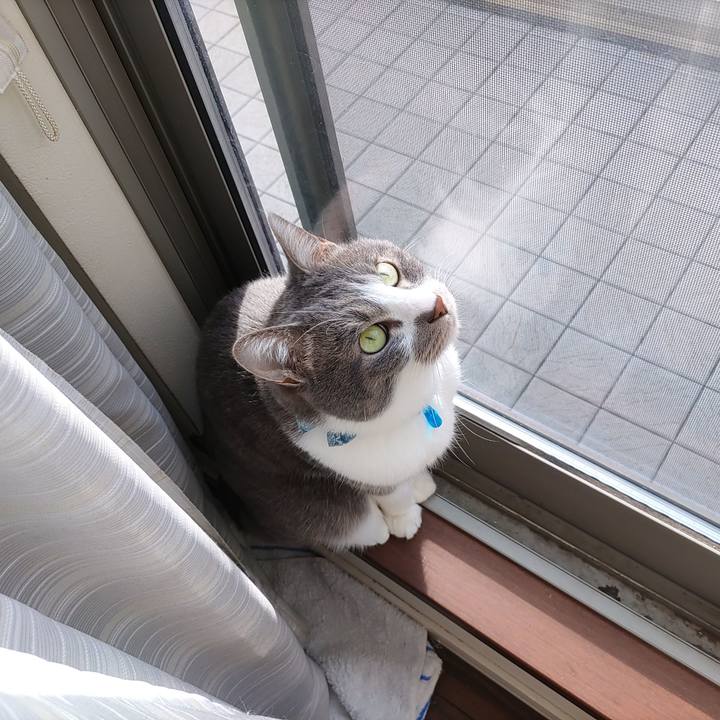 7f690a8d cc85 4dee 8c52 10875375dc1d 1677312511901