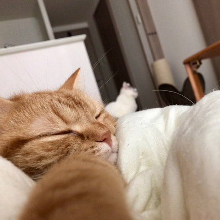 7f692eca f56a 4143 826c 5487bd8c2078 1522622042261