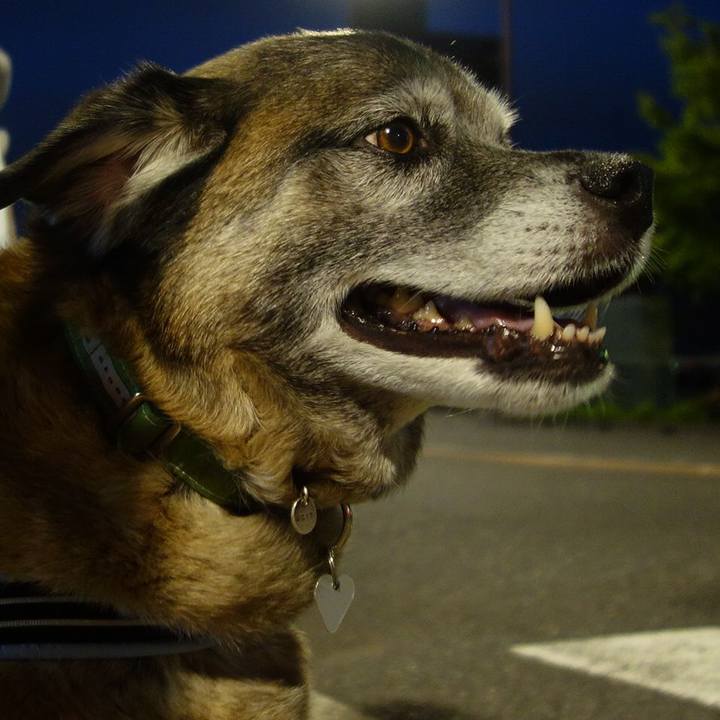 7f6933d6 2486 4746 83dc da1165ddc804 1637369750221