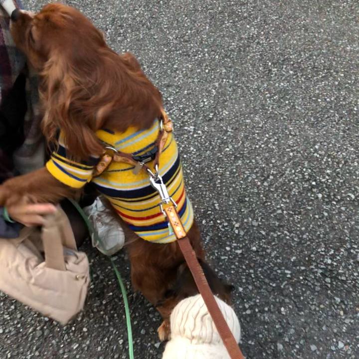 7f696238 7170 4bc4 aedb f0c2e1f9a2e4 1609712553117