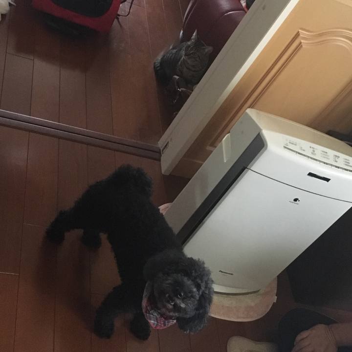 7f699114 0c1f 4ce2 b0e3 f57e9030d59d 1541729621791