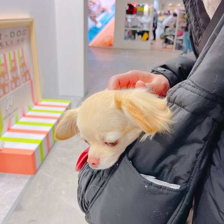 7f69a9f8 fa6c 4267 8502 20c2c438abcf 1648968183270