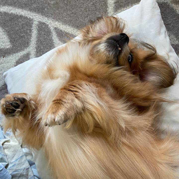 7f69b4e4 cfec 4486 803a 02bb44cf083d 1624570469368