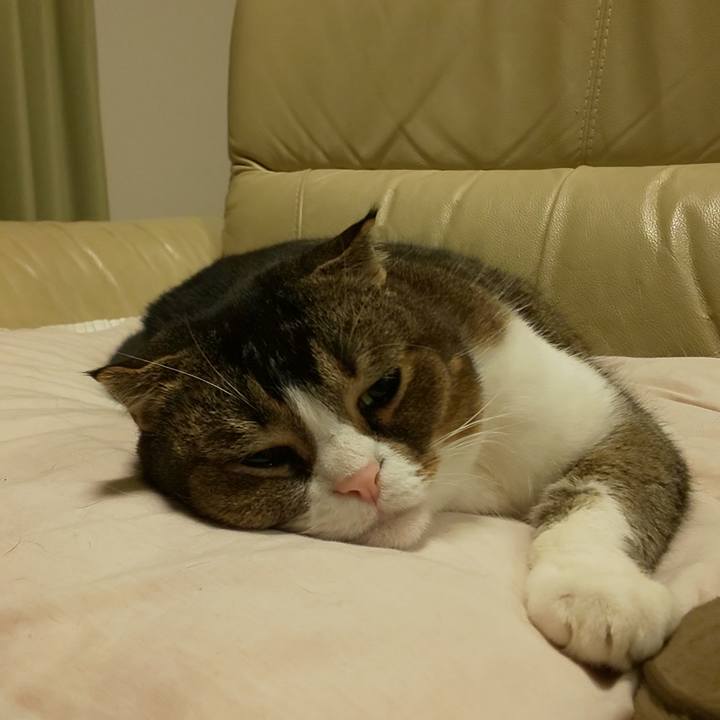 7f69c08e 3a4a 4e88 815e 6214e2863b7f 1668936853122