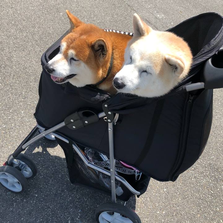 7f69c650 d85e 4a63 ae37 ca92922e6eaf 1646954421196