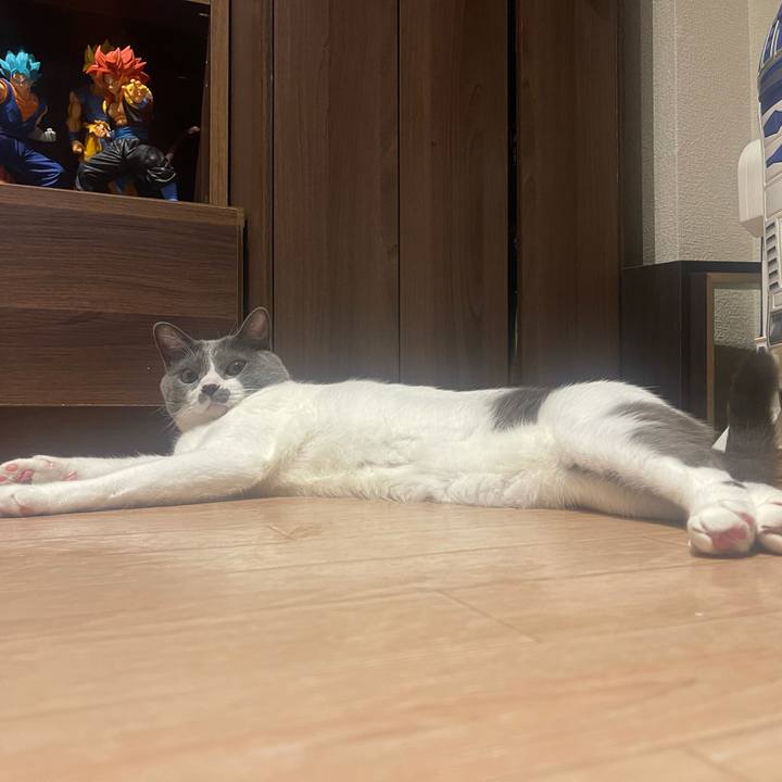 7f69d201 e040 40a6 900e 087760c9c924 1627905893307