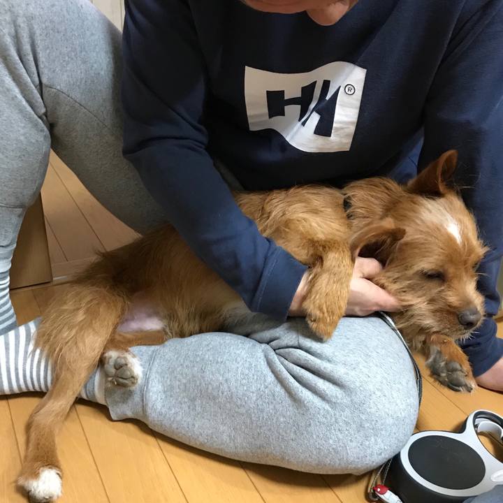 7f69f8e3 4762 414a bf8f e6da8492e0d2 1545296760262