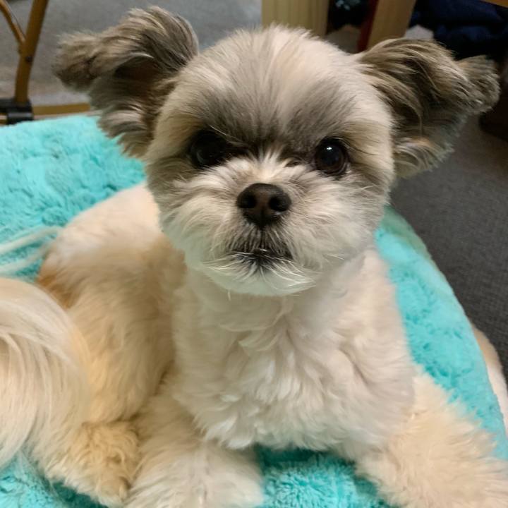 7f6a354c a255 4c8b b1ce 26df35a74457 1611466724906