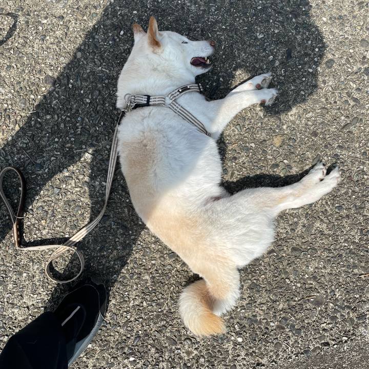 7f6a64d9 5312 4851 9d6f d66b57d374cf 1647254166193