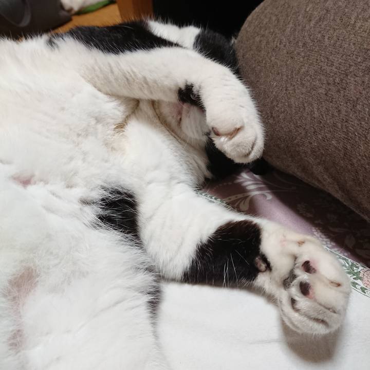 7f6a69c8 3d37 4d15 b5fc a3641ee9a70d 1603454478542