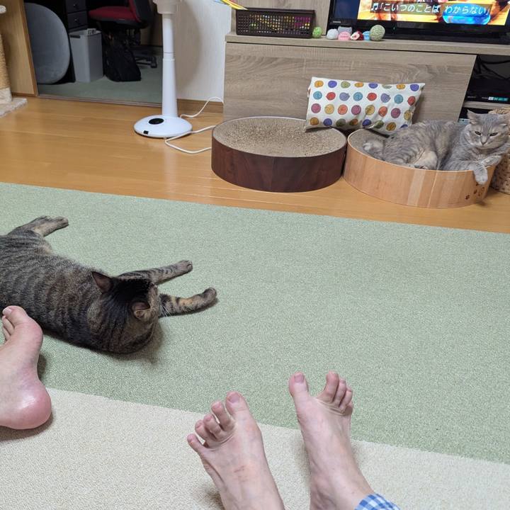 7f6ab6ae cd45 4253 bda8 6f911ea0bb0e 1750316968965