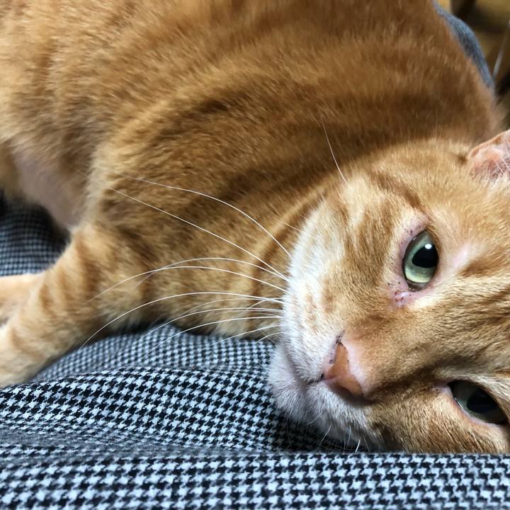 7f6ab96f ef8c 4675 9320 b573f04c4ef0 1647166767745