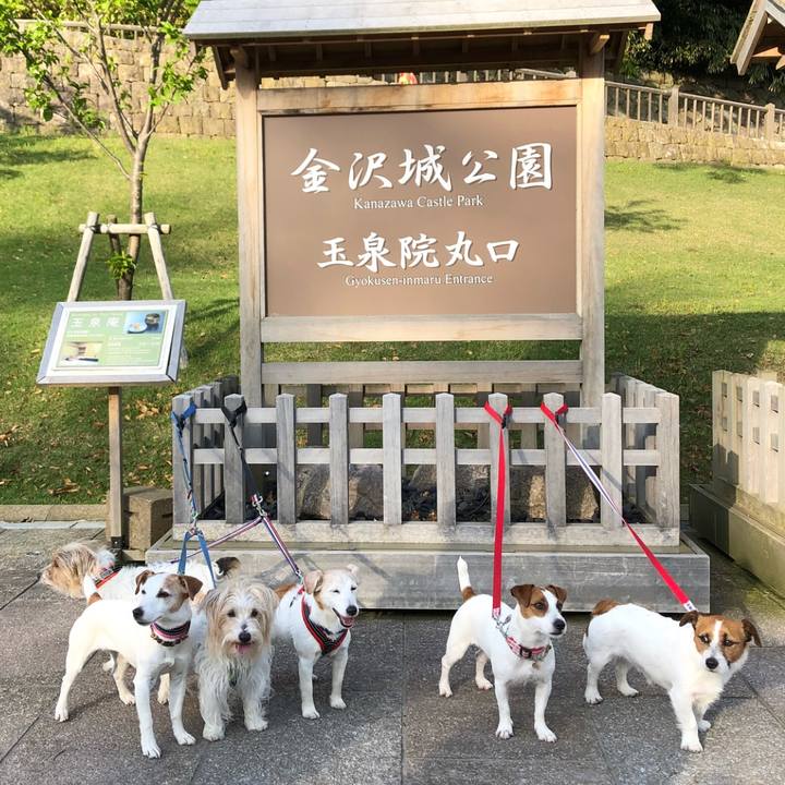 7f6aca73 4f60 4456 af95 e425ca8b64ba 1525527740563