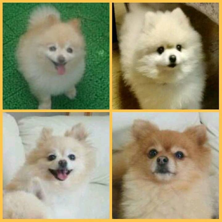 7f6afc9e 483b 4de1 bce5 6cdaa260c159 1519509563202