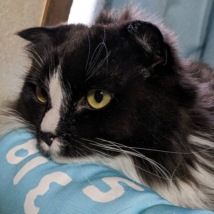 7f6aff0f dad5 4017 8ccb ca3c224ce8ab 1679360224516