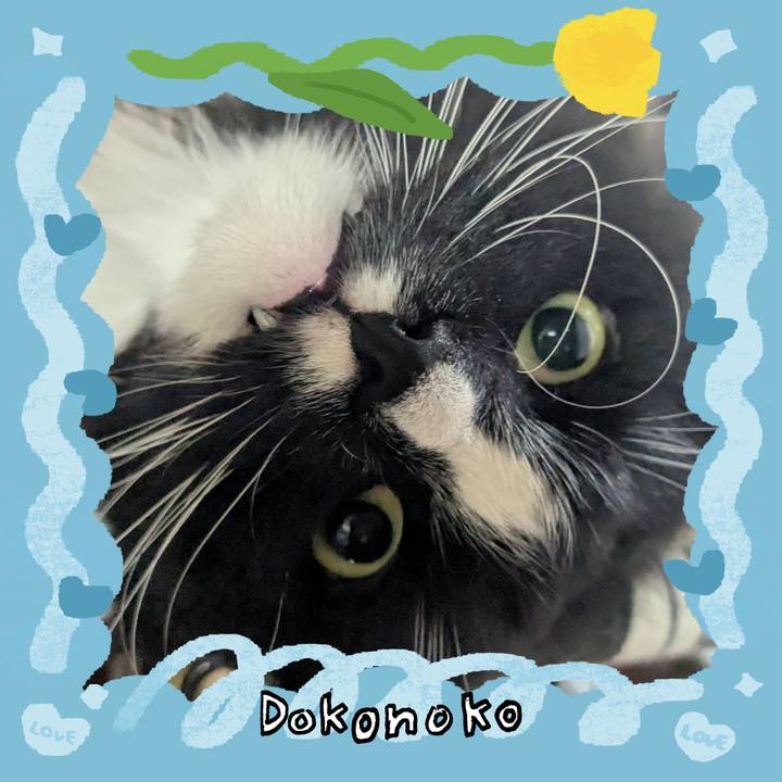 7f6b3eec 7053 4040 b06d 0d1c8fd22d2b 1771882507236