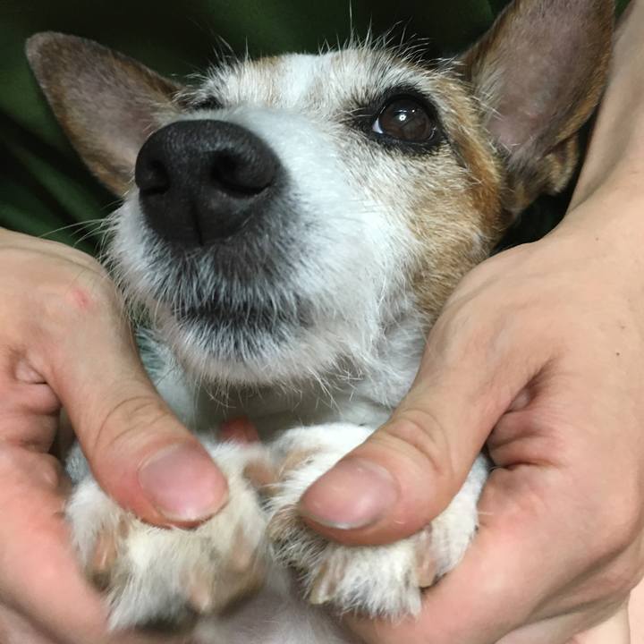 7f6b457f 7f38 4129 aca1 5e1dd6dfb1cc 1623974219441