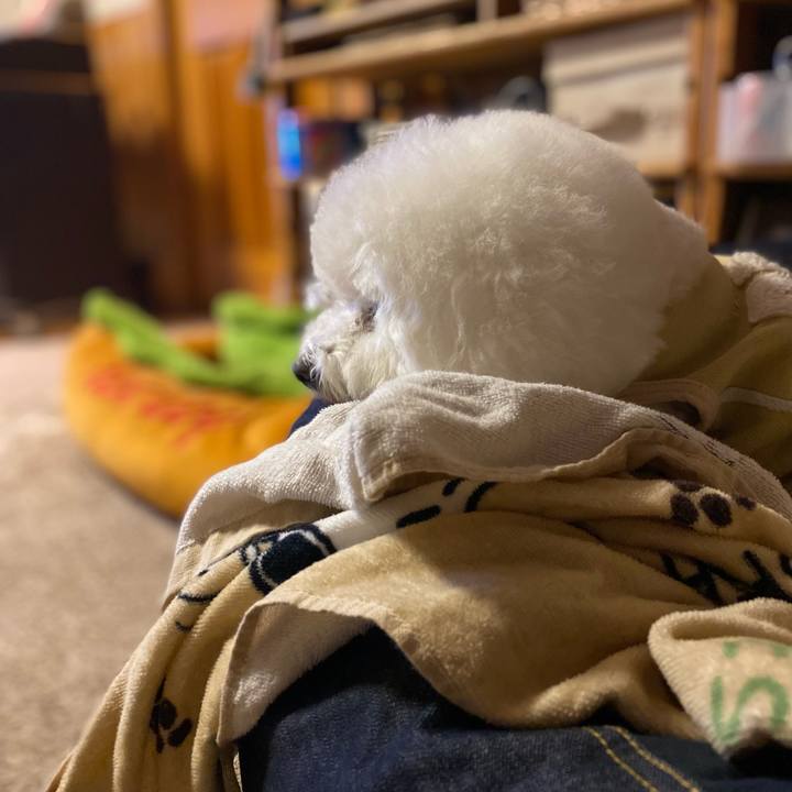 7f6b6b22 8607 48ee 9a51 30510394288a 1642077253853