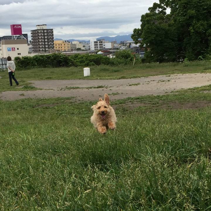 7f6b7157 4ac6 40e7 9b5a 6122ca6d5eeb 1592954329498