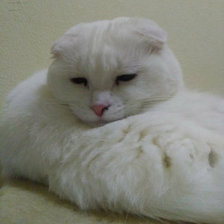 7f6b8be1 0e06 415e 9b3b c3759fb0fa0c 1564182815493