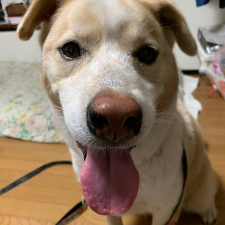 7f6b9851 fef2 440d af38 9267caf7675b 1592217649830