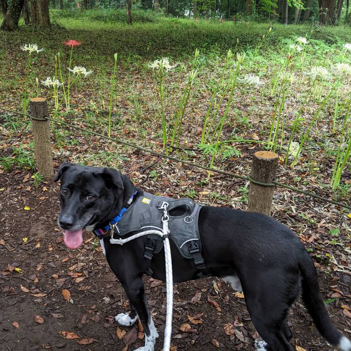 7f6bcf6b b2be 4206 a0f6 25ddbfeecc23 1663458789473